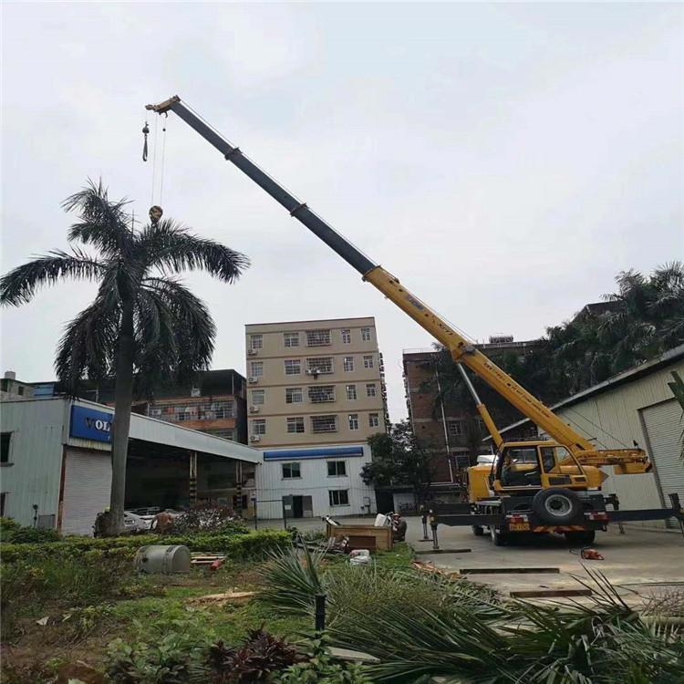 江南吊车吊大树几种方法